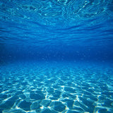 Bahamas Underwater