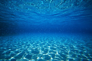 Bahamas Underwater