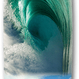 Emerald Waimea Collage Big Wave Gun