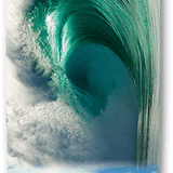 Emerald Waimea Collage Longboard