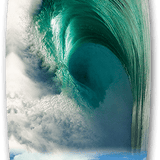 Emerald Shorebreak Shortboard
