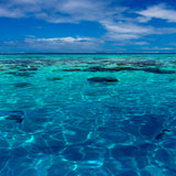 Tahiti Reef